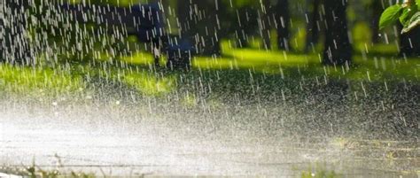 登戸 天気 1時間 雨が降ったらカエルは歌い出すのか？