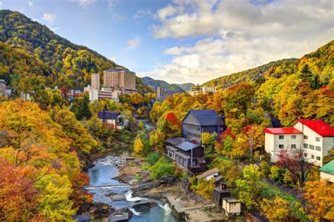 札幌 勉強できる場所 - 雪の中の静寂と知識の融合